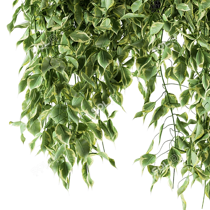 Green Haven: Indoor Hanging Plant Set 3D model image 3