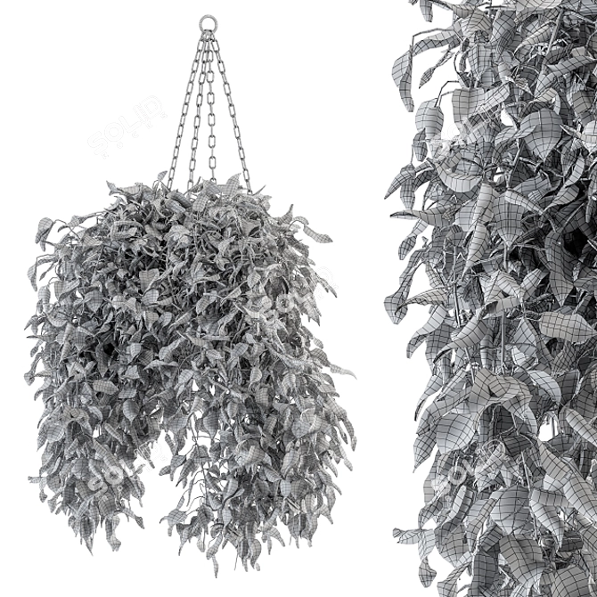 Green Haven: Indoor Hanging Plant Set 3D model image 4