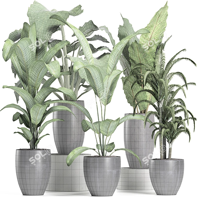 Tropical Plant Trio: Banana, Palm, Alocasia 3D model image 4