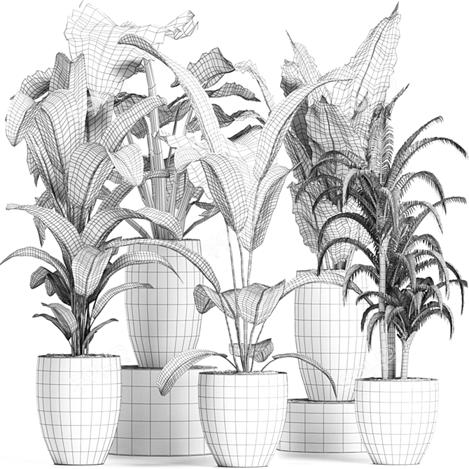 Tropical Plant Trio: Banana, Palm, Alocasia 3D model image 5