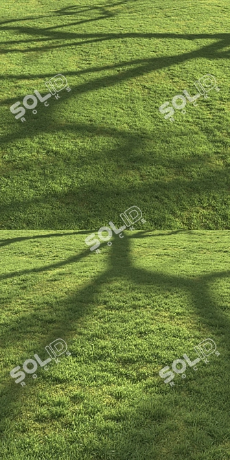 Scattered Grass Board - 14 Patterns 3D model image 4