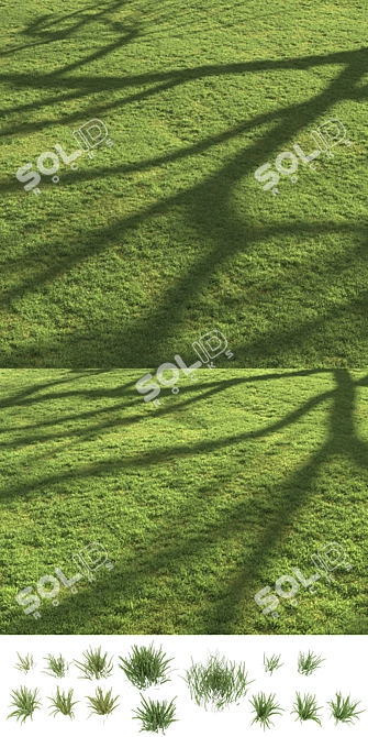 Scattered Grass Board - 14 Patterns 3D model image 5