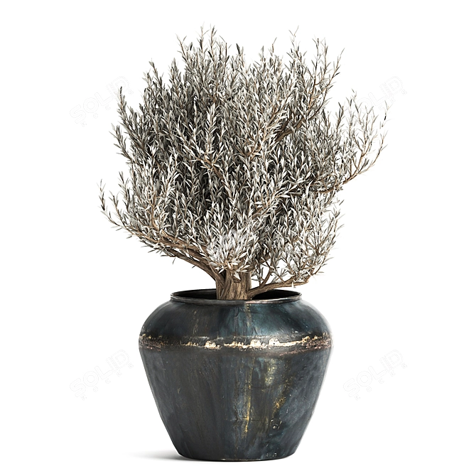 Tropical Plant Collection: Olive, Hovewa Palm, Metal Pot 3D model image 4