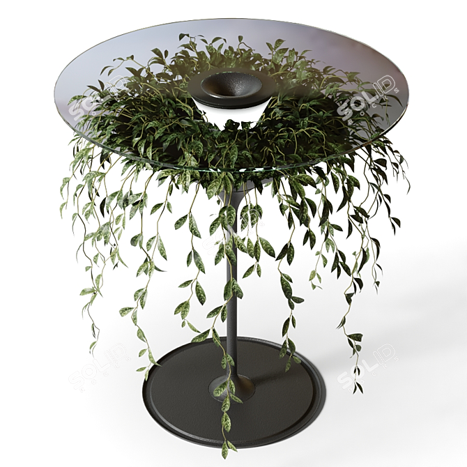 OASIS Glass Coffee Table with Plant | Pei-Ju Wu Design 3D model image 2