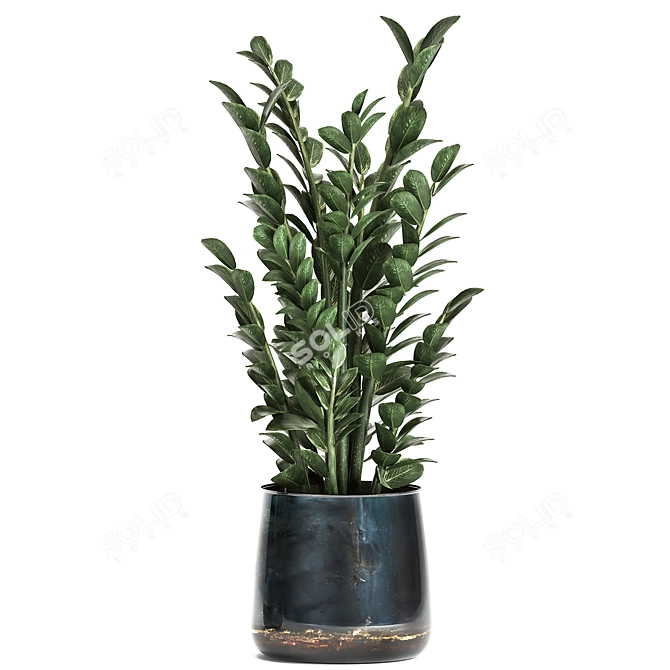 Tropical Exotic Plant Collection 3D model image 4