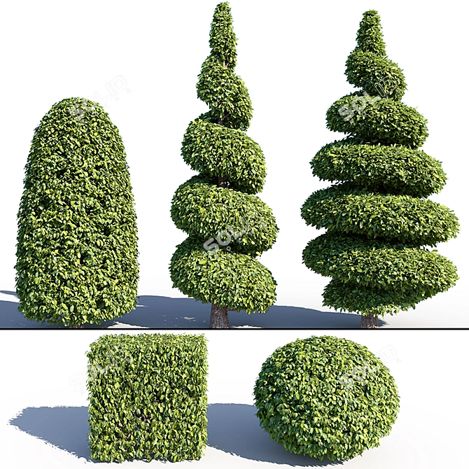 Landscaping Bushes Pack: 5 Versatile Shapes 3D model image 1