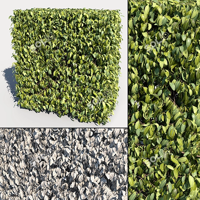 Landscaping Bushes Pack: 5 Versatile Shapes 3D model image 4