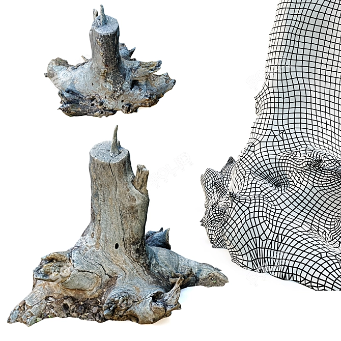 Rustic Wood Stump Trio 3D model image 3