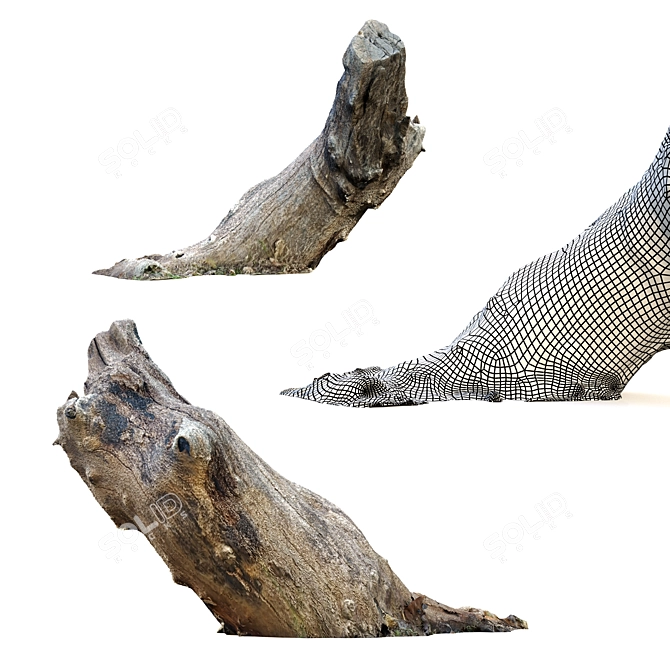 Rustic Wood Stump Trio 3D model image 4
