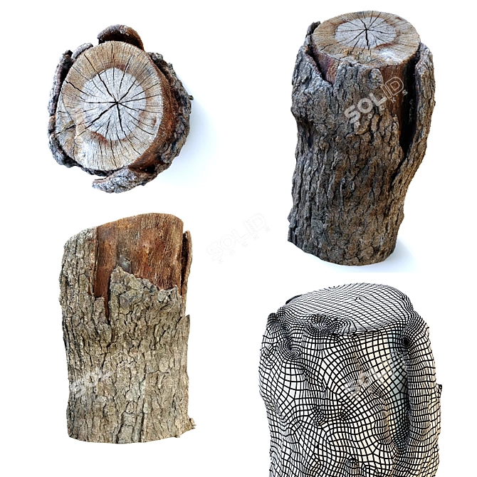 Rustic Wood Stump Trio 3D model image 5