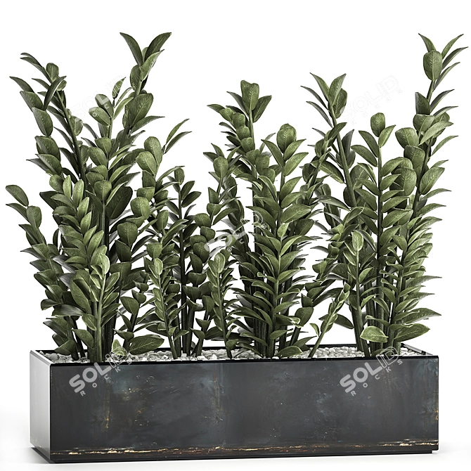 Exotic Plant Collection: Indoor and Outdoor Décor 3D model image 1