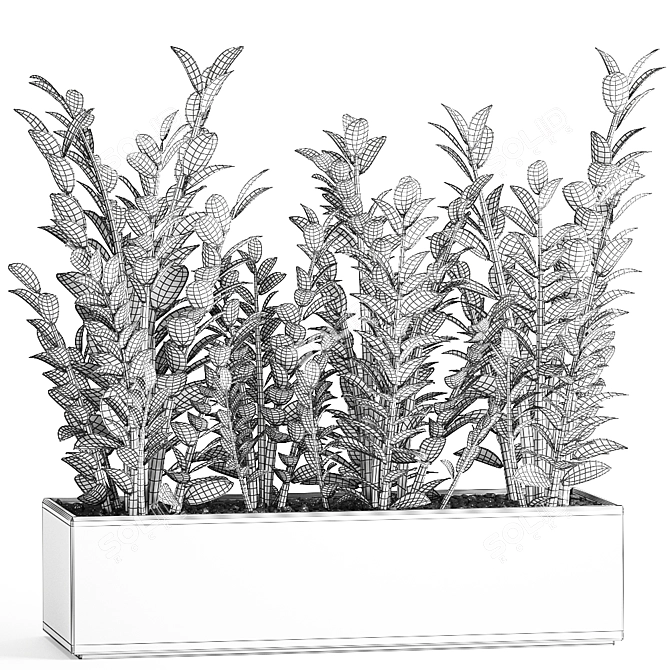 Exotic Plant Collection: Indoor and Outdoor Décor 3D model image 5