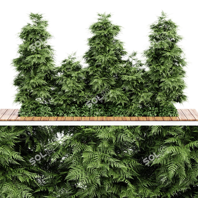 Slim Hinoki Cypress Tree - Perfect for Small Yards 3D model image 1