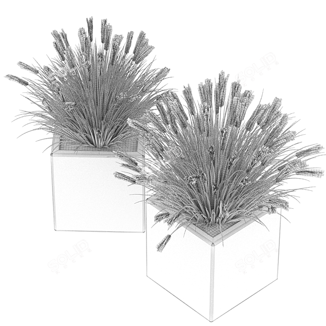 Elegant Plant Collection Vol. 121 3D model image 3