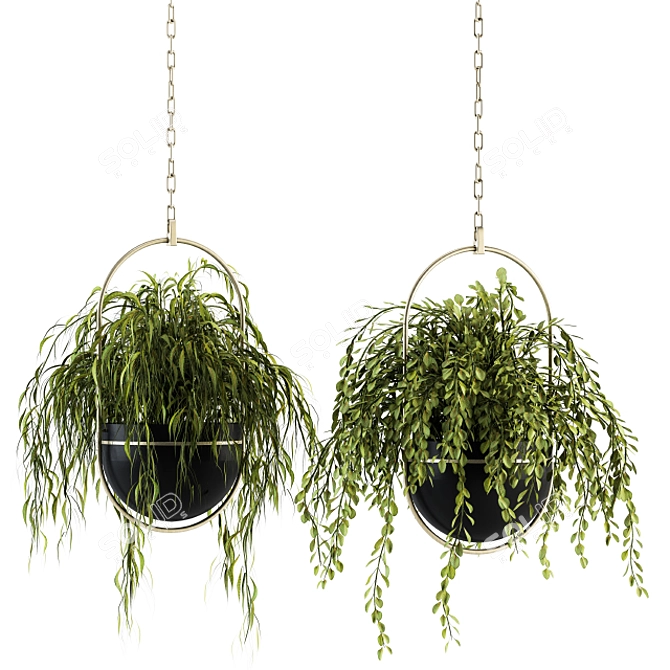 Indoor Oasis: Hanging Plant Set 3D model image 1