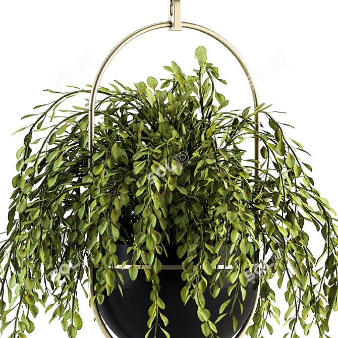 Indoor Oasis: Hanging Plant Set 3D model image 2