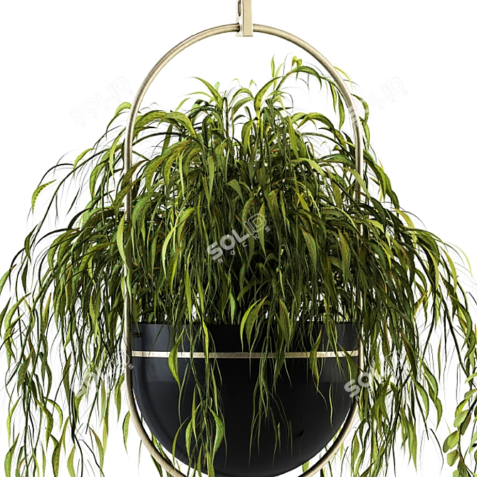 Indoor Oasis: Hanging Plant Set 3D model image 3