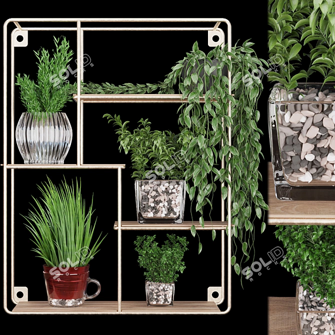 Plants Collection Vol. 122: Exquisite Quality 3D model image 1