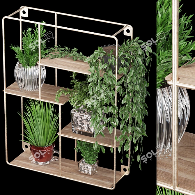 Plants Collection Vol. 122: Exquisite Quality 3D model image 2