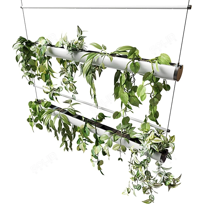 Hanging Plants in a Pipe Pot 3D model image 2