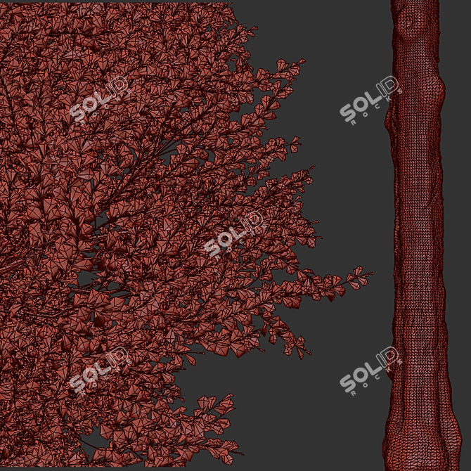 European Aspen Tree Set - Quaking Aspen, Populus Tremula 3D model image 5