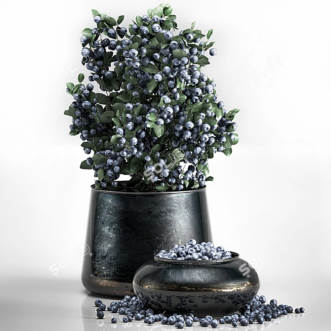 Berrylicious Blueberry Branch Vase 3D model image 3