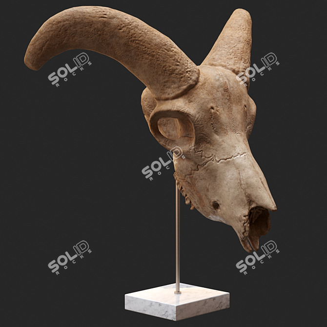 Eerie Goat Skull Décor 3D model image 3