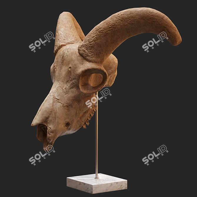 Eerie Goat Skull Décor 3D model image 4