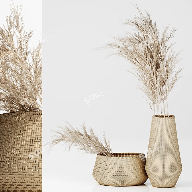 Pampas Paradise: Dried Plants in Straw Baskets 3D model image 1