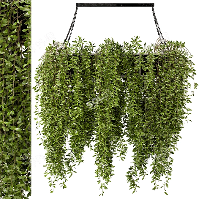 Metal Box Indoor Hanging Plants - Set 82 3D model image 1