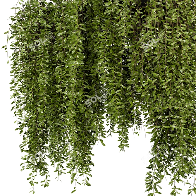 Metal Box Indoor Hanging Plants - Set 82 3D model image 3