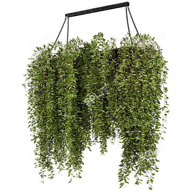 Metal Box Indoor Hanging Plants - Set 82 3D model image 4