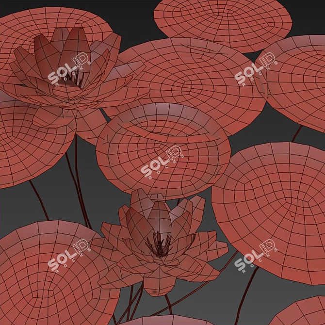 Nymphaeaceae Water Lily: Versatile Aquatic Perfection 3D model image 4