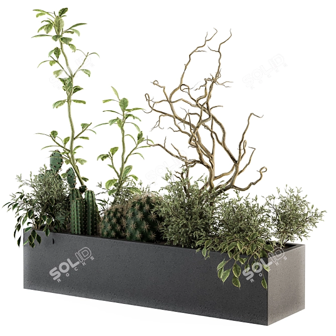  Lush Greenery Box - Indoor Plant Set 3D model image 2