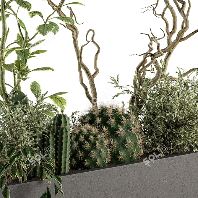  Lush Greenery Box - Indoor Plant Set 3D model image 3