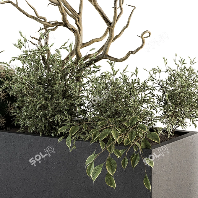  Lush Greenery Box - Indoor Plant Set 3D model image 4