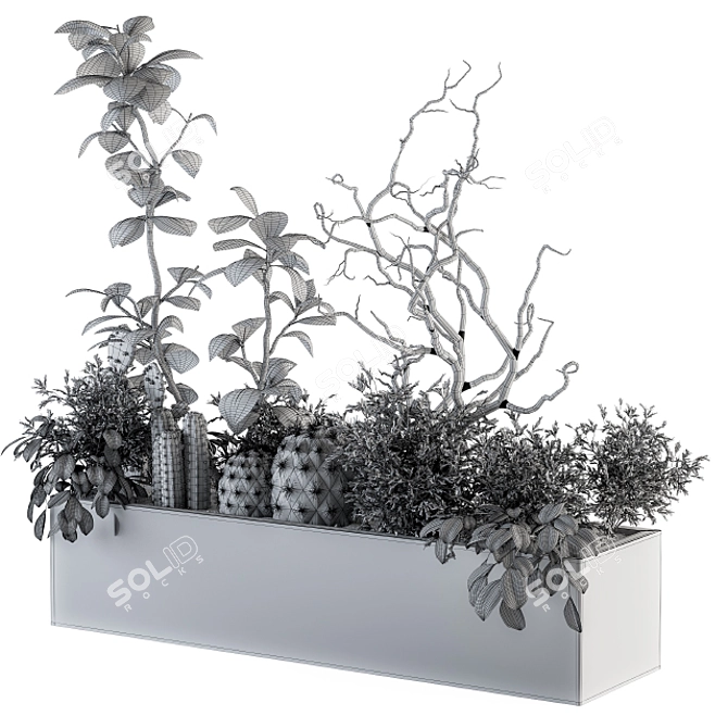  Lush Greenery Box - Indoor Plant Set 3D model image 5