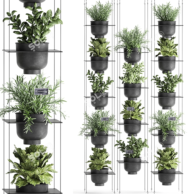 Vertical Garden Kit: Vig Planter for Kitchen Herbs 3D model image 1