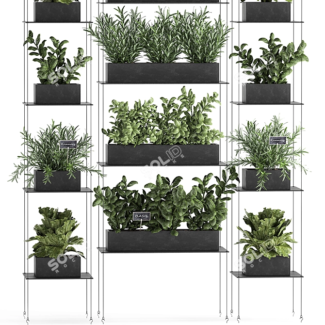 Vertical Garden: Greenery for Your Kitchen 3D model image 2