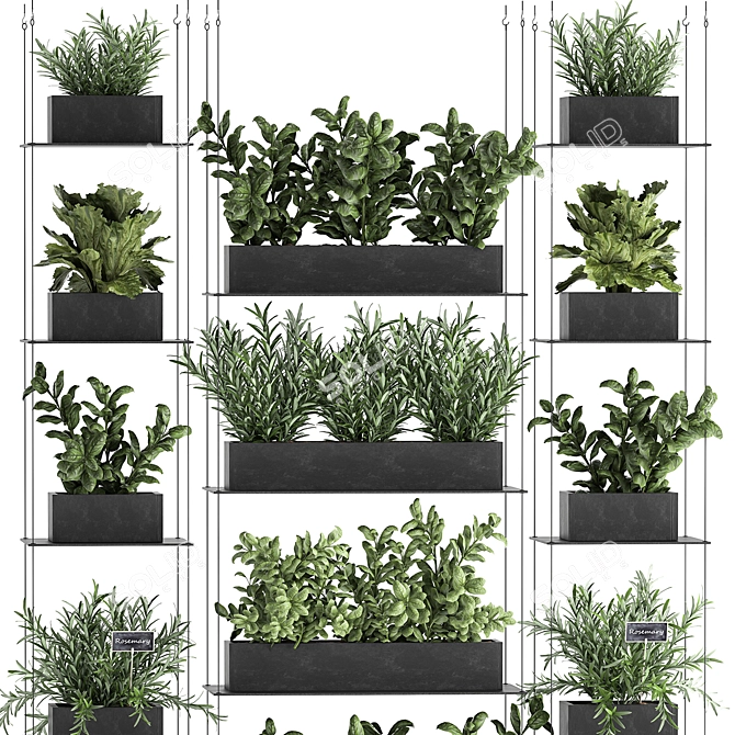 Vertical Garden: Greenery for Your Kitchen 3D model image 3