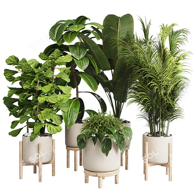 Elegant Wood Vase Collection: 30 Indoor Plants 3D model image 1