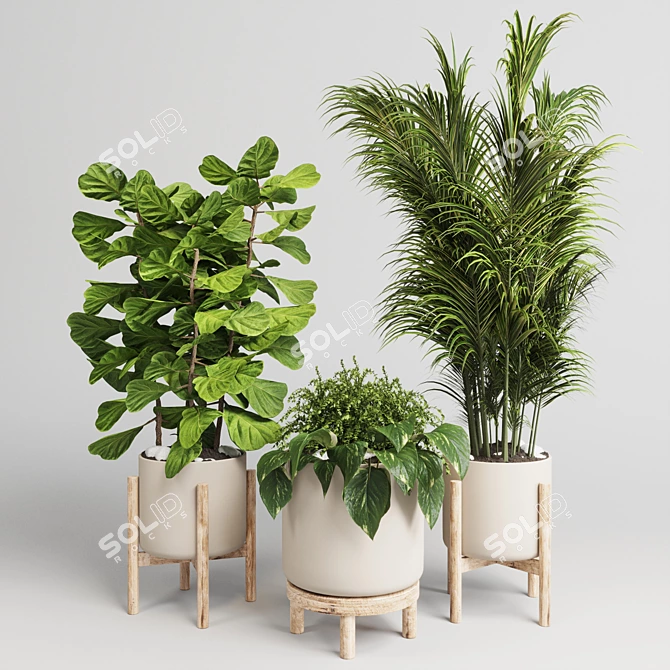 Elegant Wood Vase Collection: 30 Indoor Plants 3D model image 2