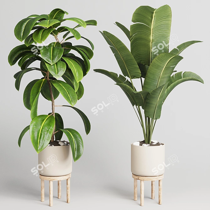 Elegant Wood Vase Collection: 30 Indoor Plants 3D model image 3