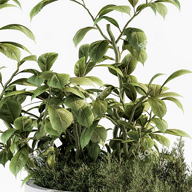 Green Oasis Plant Set 3D model image 4