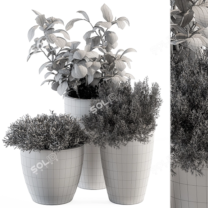 Green Oasis Plant Set 3D model image 5