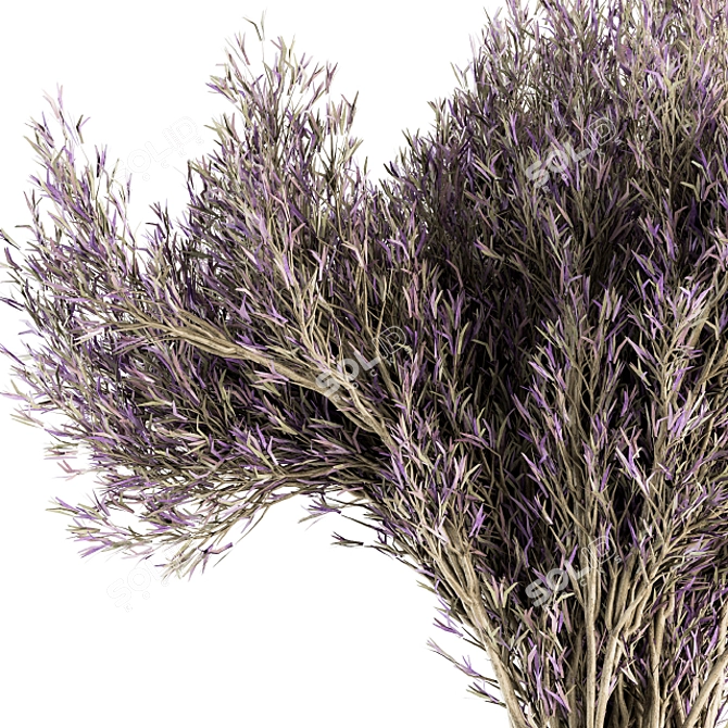 Fragrant Floral Delight - Dried Lavender 3D model image 2