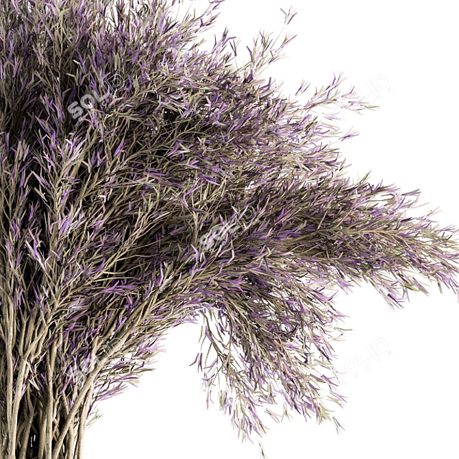 Fragrant Floral Delight - Dried Lavender 3D model image 3