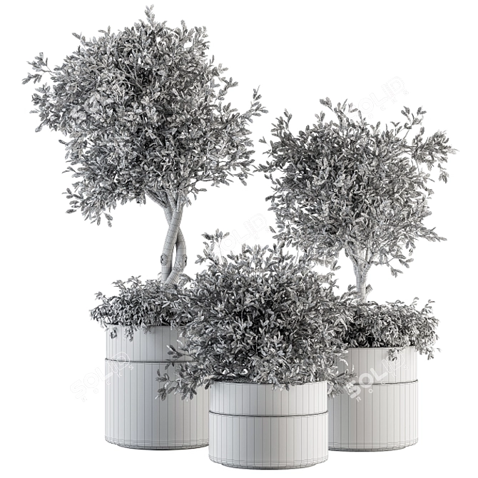 192 Indoor Plant Set - Tree in Pot 3D model image 5