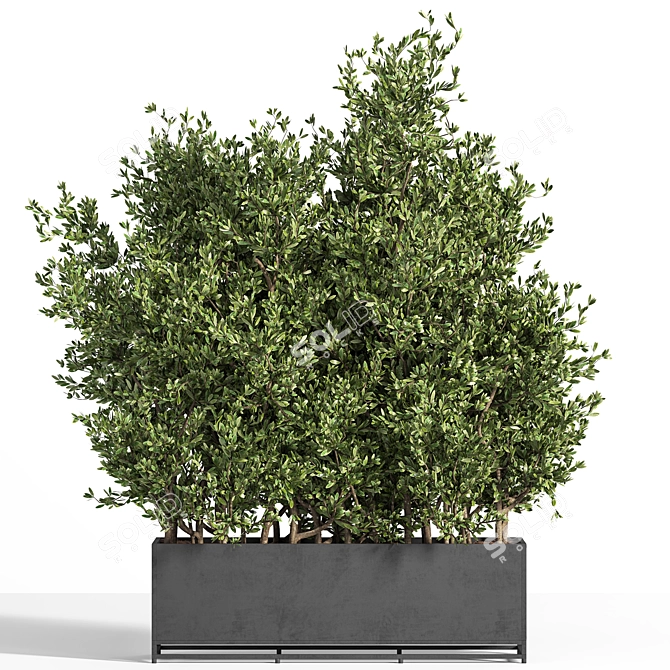 Metal Box Outdoor Tree Plant 3D model image 1