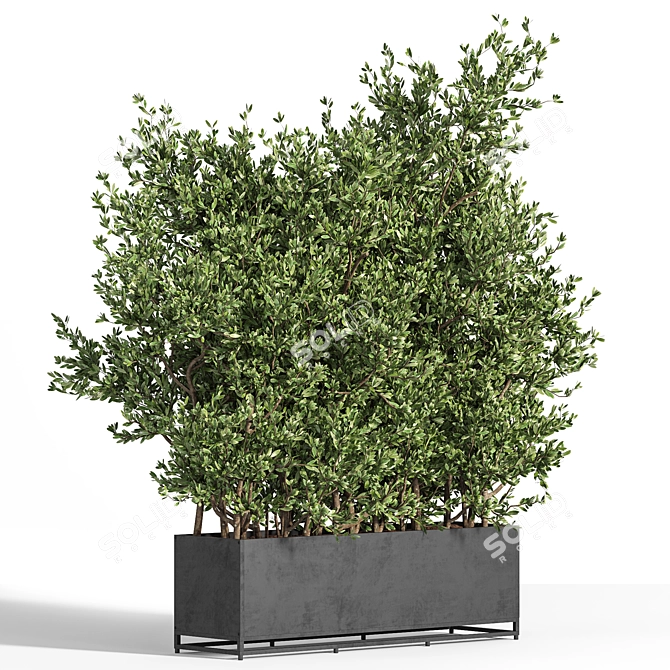 Metal Box Outdoor Tree Plant 3D model image 2